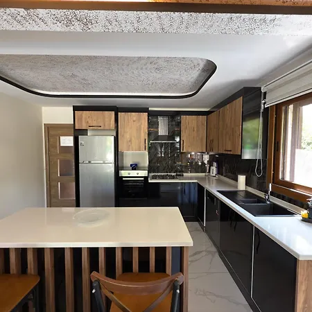 فيلة My Rhythm 1 *